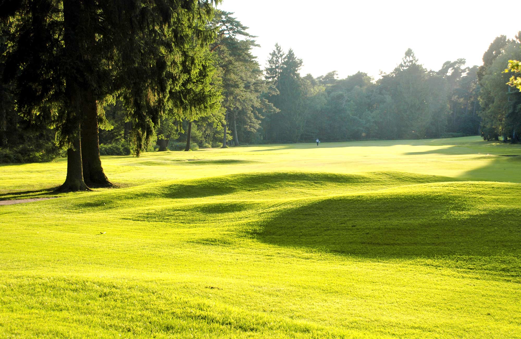 Golf- & Landclub Köln, der Golfplatz
